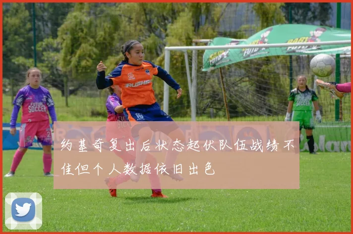 约基奇复出后状态起伏队伍战绩不佳但个人数据依旧出色