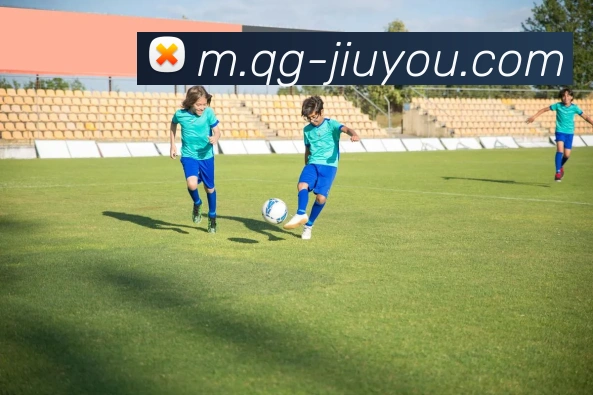 九游体育APP 封面图