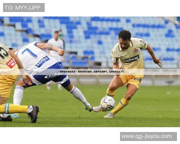 中超国字号主力难以匹敌西甲德甲水平足球经纪人直言不讳